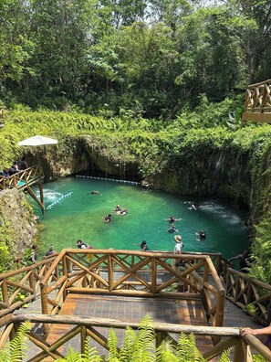 Uma piscina natural rodeada por vegetação exuberante, passarelas de madeira e um deck de madeira com guardaílbues.