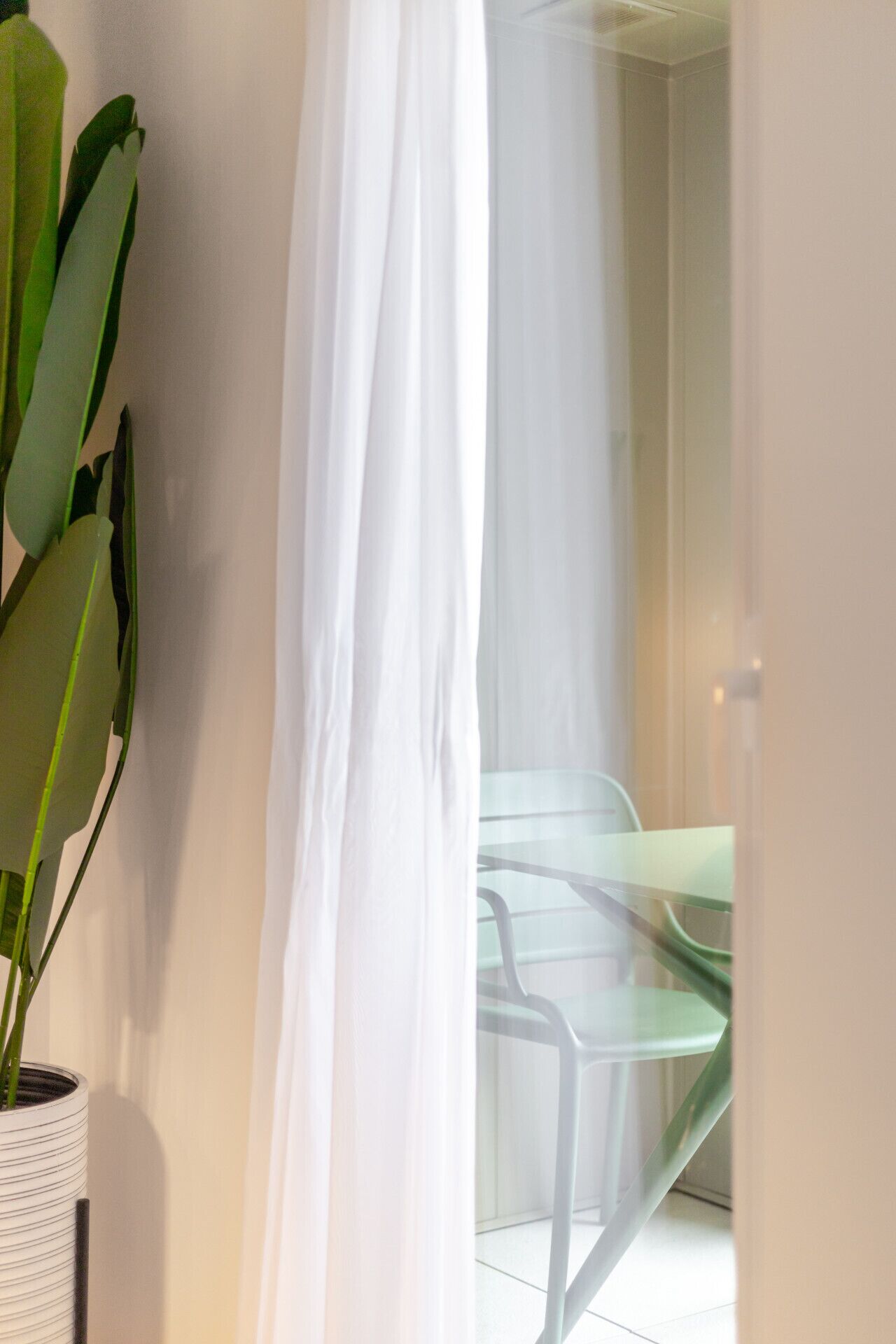 A room with a potted plant, a glass table, and a chair.