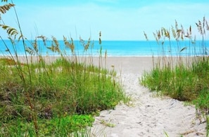 Ein Sandweg am Strand, der zum Meer führt, gesäumt von hohem Gras.
