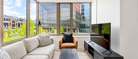 TV, offices
