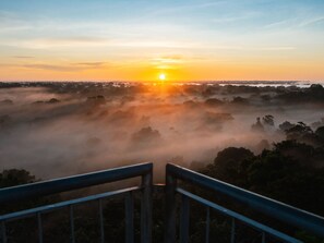 Amanecer sobre un paisaje brumoso con una baranda al frente.