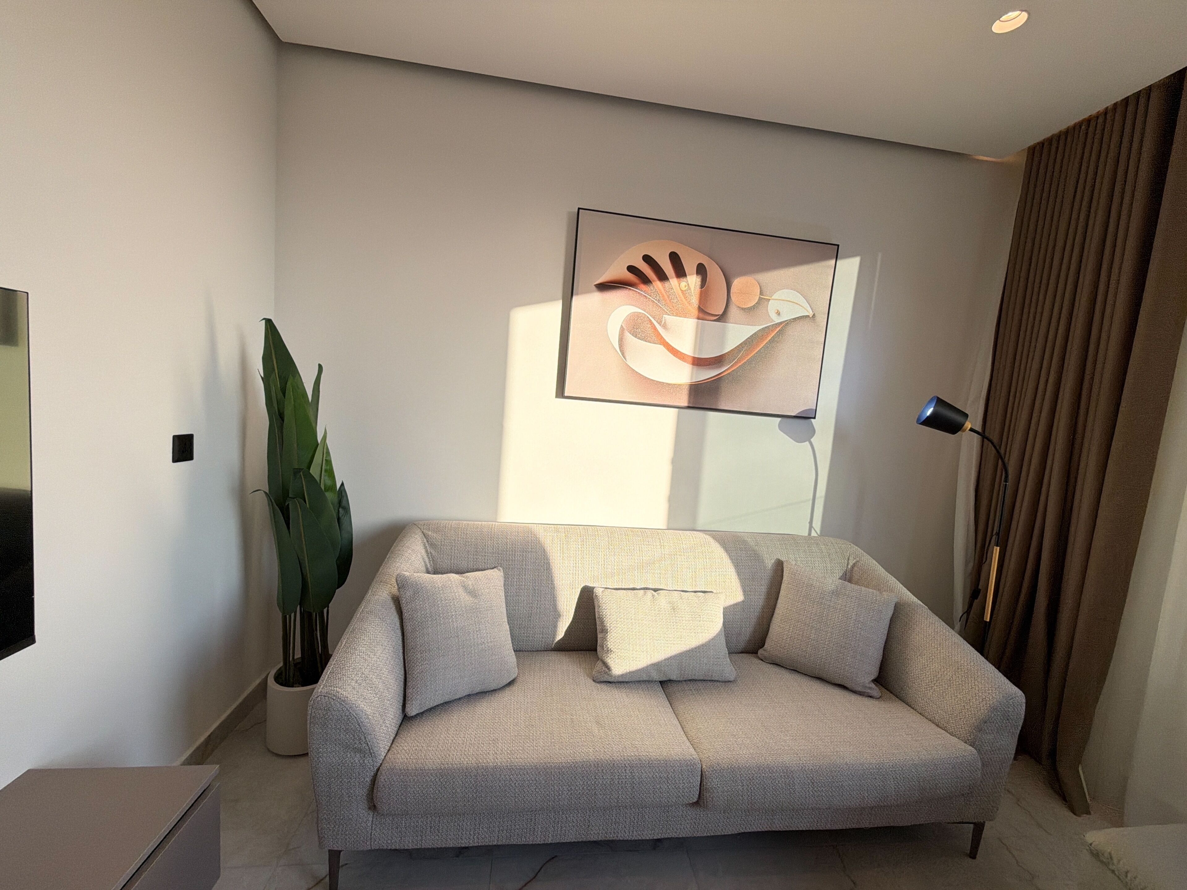 Un salon moderne avec un canapé, une plante en pot, une œuvre d’art accrochée au mur et une lampe sur pied.
