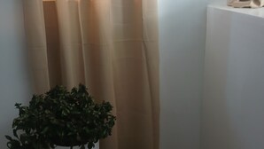 A room with a potted plant on a small table, a beige curtain, and a white wall. - Private room in tiny home in Brooklyn, New York (Brooklyn)
