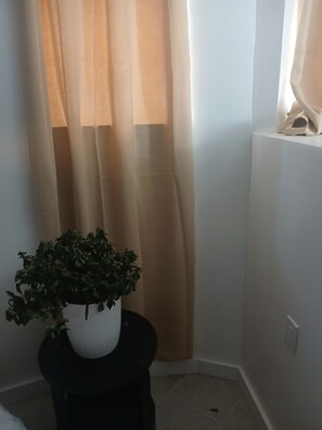 A room with a potted plant on a small table, a beige curtain, and a white wall. - Private room in tiny home in Brooklyn, New York (Brooklyn)