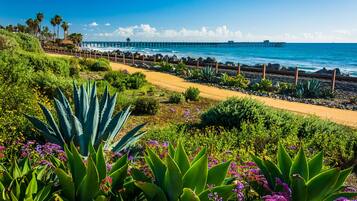 Beach nearby, white sand, free beach shuttle