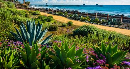 San Clemente Surf Inn