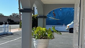 Área externa coberta com uma planta em vaso, degraus de pedra e um mural de um mergulhador.