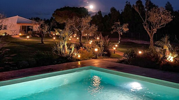 Ein Poolbereich bei Nacht mit freier Sicht auf Mond und Sterne, umgeben von Bäumen und einem beleuchteten Gebäude.