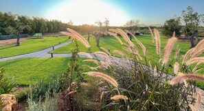 A landscaped garden with pathways, grass, and various plants.
