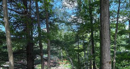 Cozy 1-bedroom studio cabin on Secord Lake 2.5hrs north of Detroit.