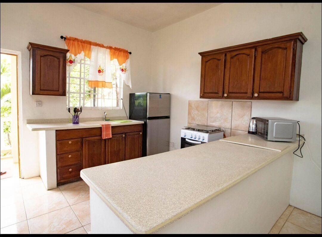 Coffee/tea maker, fridge, microwave, oven