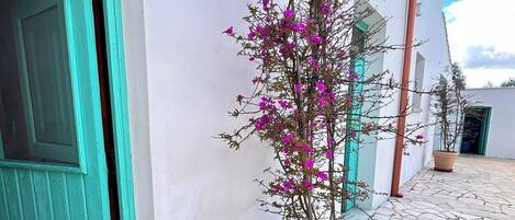 외부 세부 사진