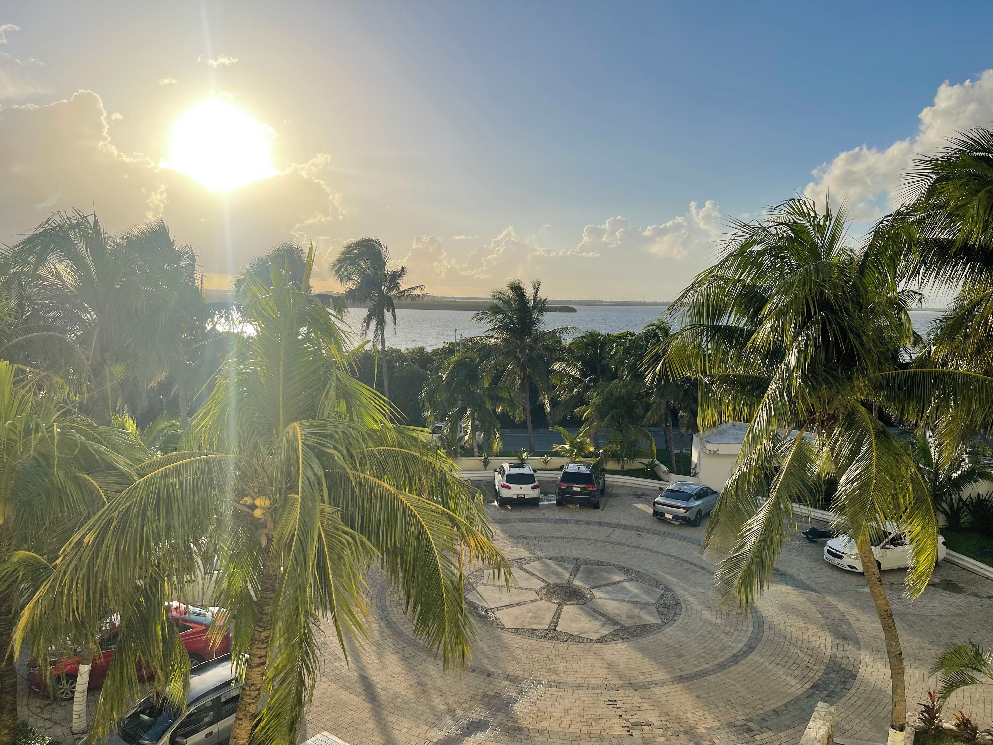 A parking area with cars, palm trees, and a view of the sea.