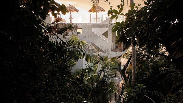 Una escala envoltat de vegetació densa que condueix a un edifici amb un balcó.
