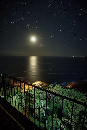A night view of a coastal area with a visible moon, a railing, and dense greenery.