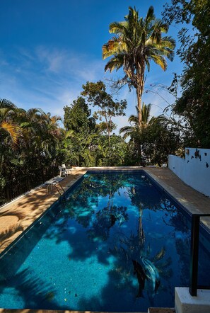 A swimming pool with clear water, surrounded by lush greenery and a tall palm tree.