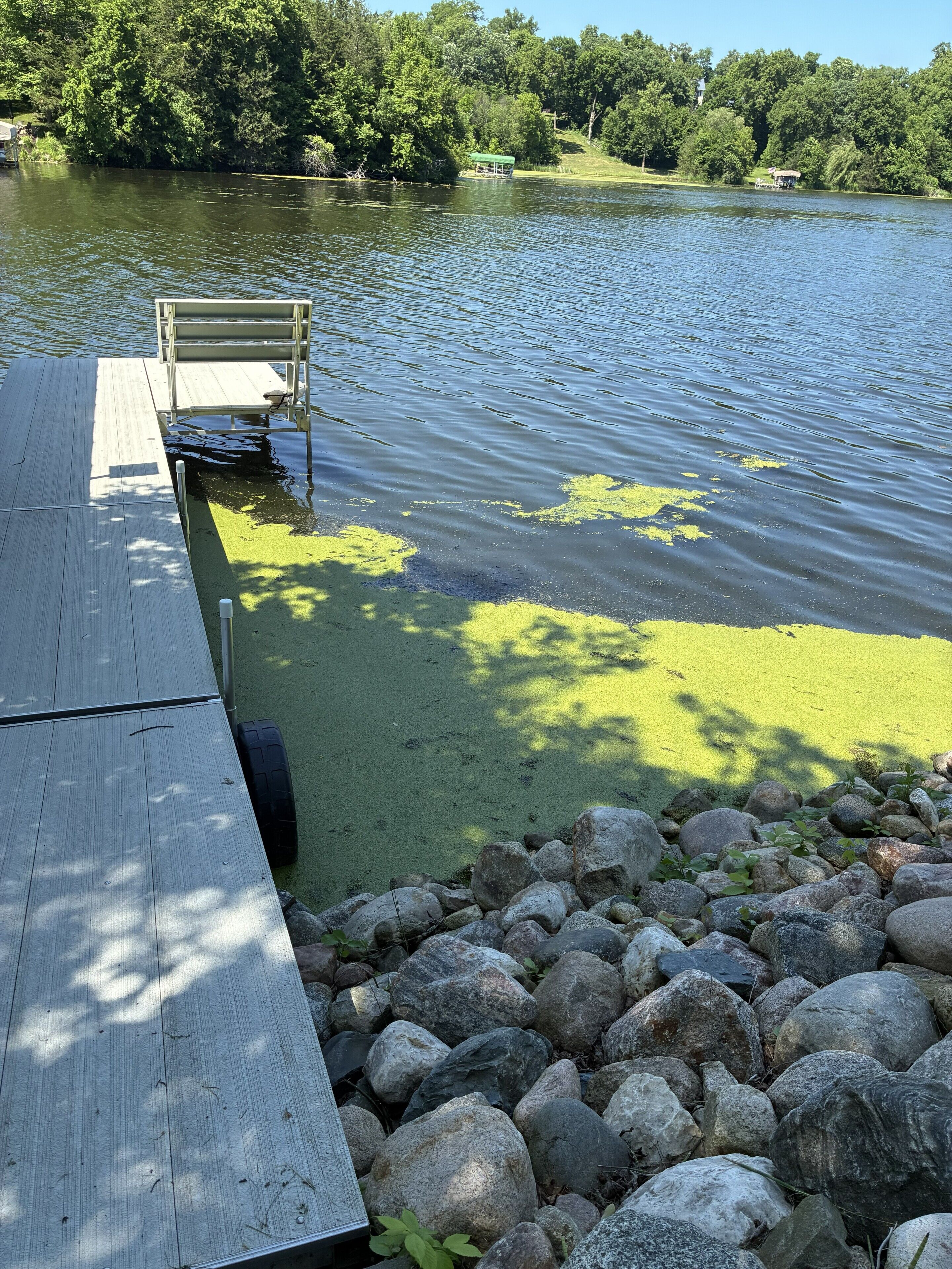 Une jetée en bois s’étendant dans un lac, avec une zone herbeuse et des rochers au premier plan.