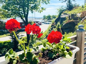 En balkon med røde geraniums, udsigt til en gade og en stor klippe.