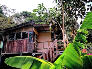 Jardim