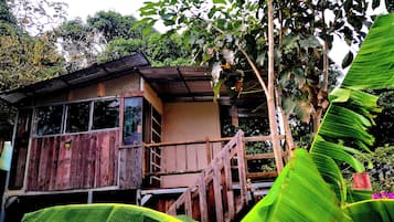 Nhà, 1 phòng ngủ, sân hiên | Vườn