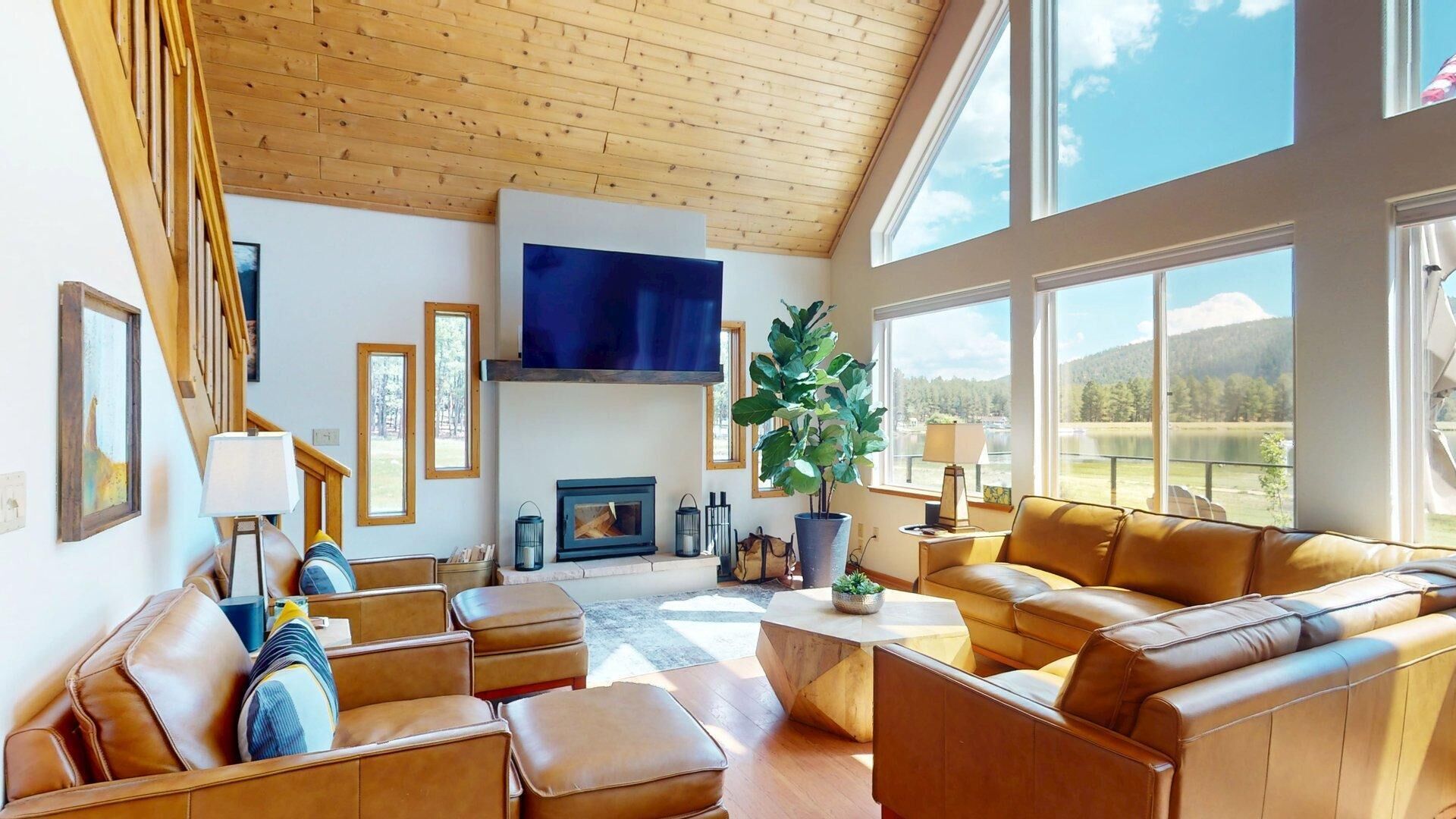 Smart TV, fireplace, computer monitors