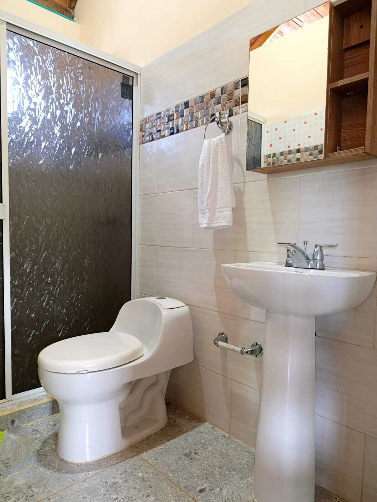 Towels, soap, toilet paper