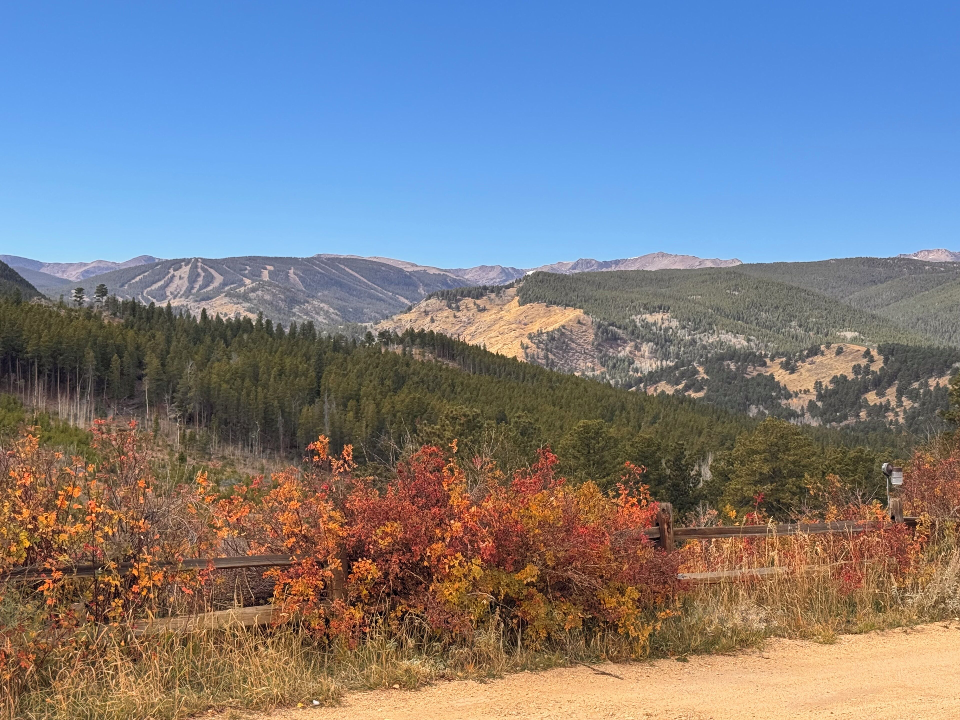 Paisaje montañoso con un sendero de tierra y follaje otoñal.