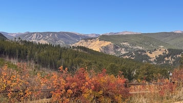 Paisaje montañoso con un sendero de tierra y follaje otoñal.