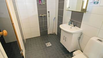 Baño con ducha, inodoro, lavabo y espejo.