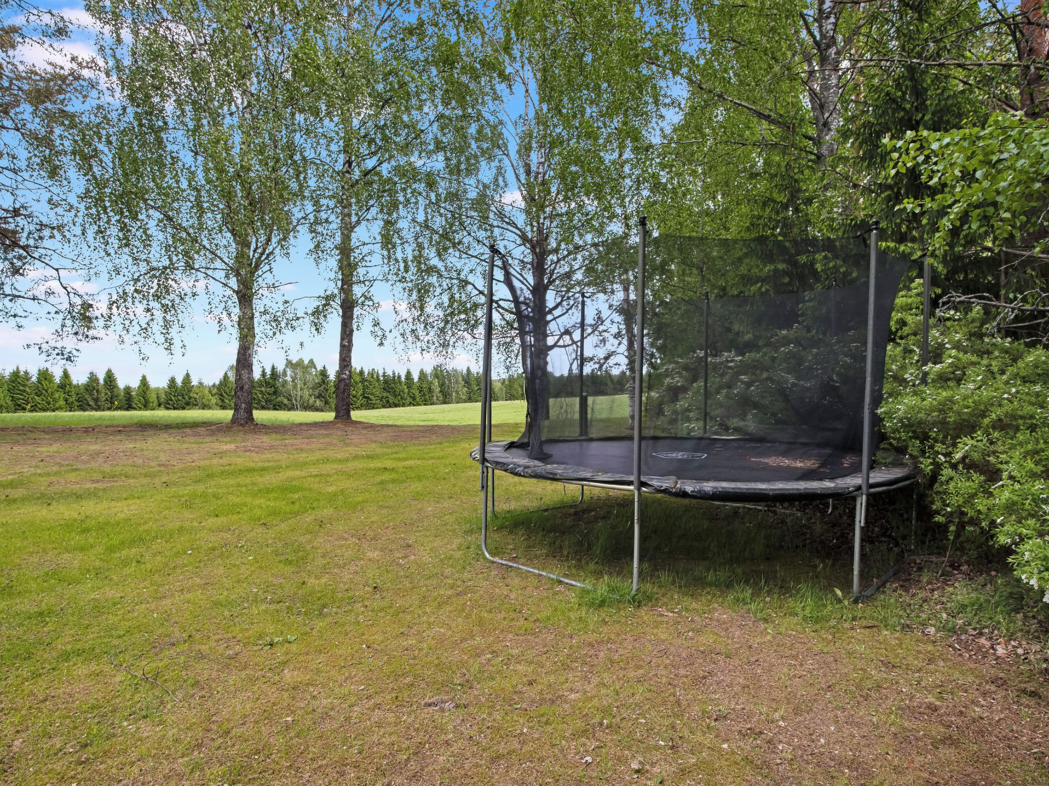 En trampolin i en græsplæne med træer i baggrunden.