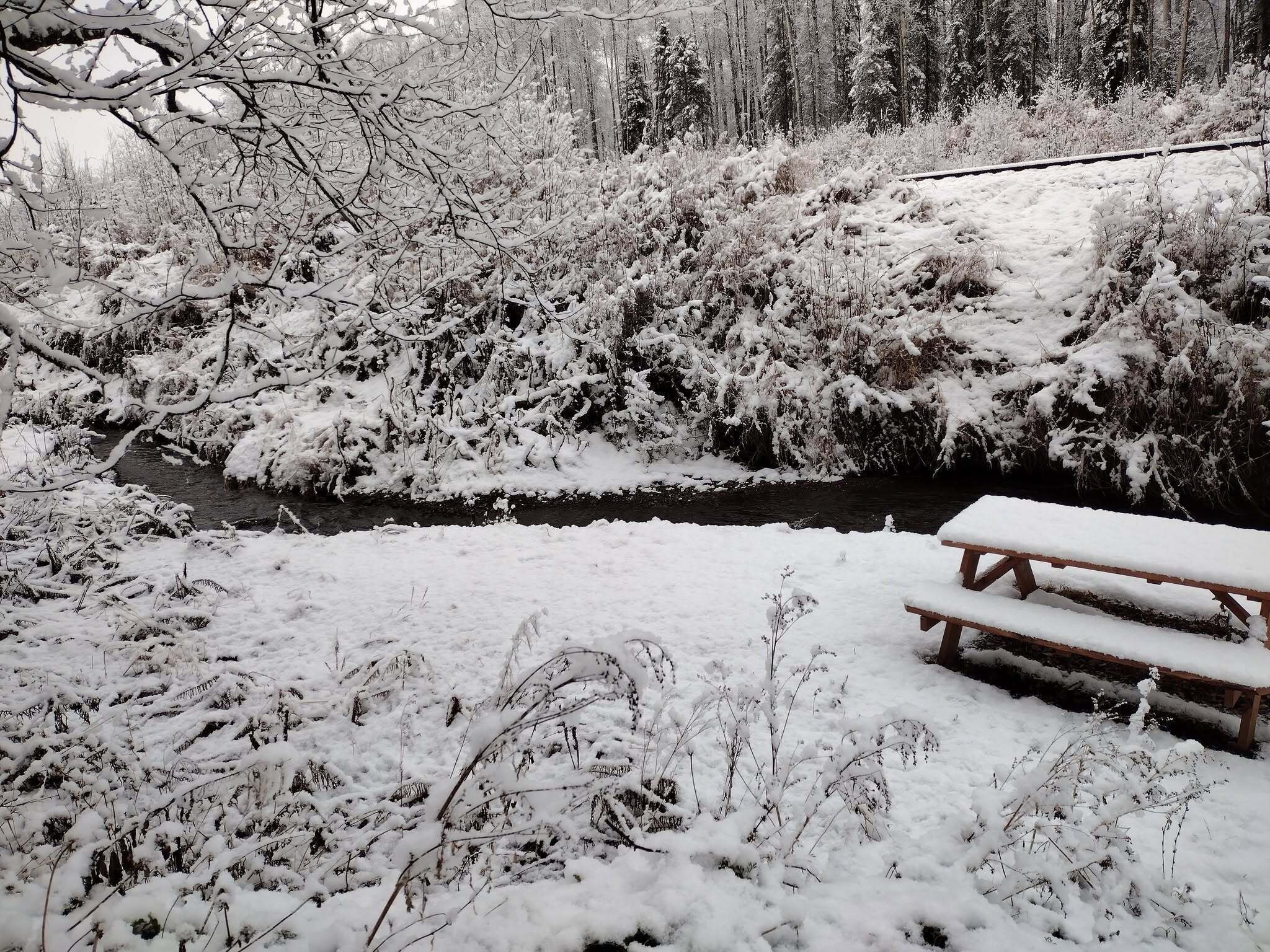 Un espace extérieur enneigé avec un banc en bois et un ruisseau.