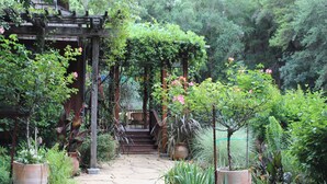 A garden pathway leading to a wooden pergola with climbing plants and potted plants. - Tranquil Country Estate with Fantastic Garden (Glen Ellen)