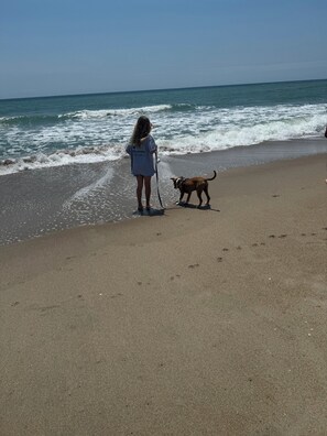 Beach - Cozy 2-bedroom condo with a quick walk the beach. (Atlantic Beach)
