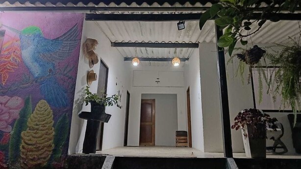 Ingresso di un edificio con un murale colorato, una porta in legno e piante in vaso.