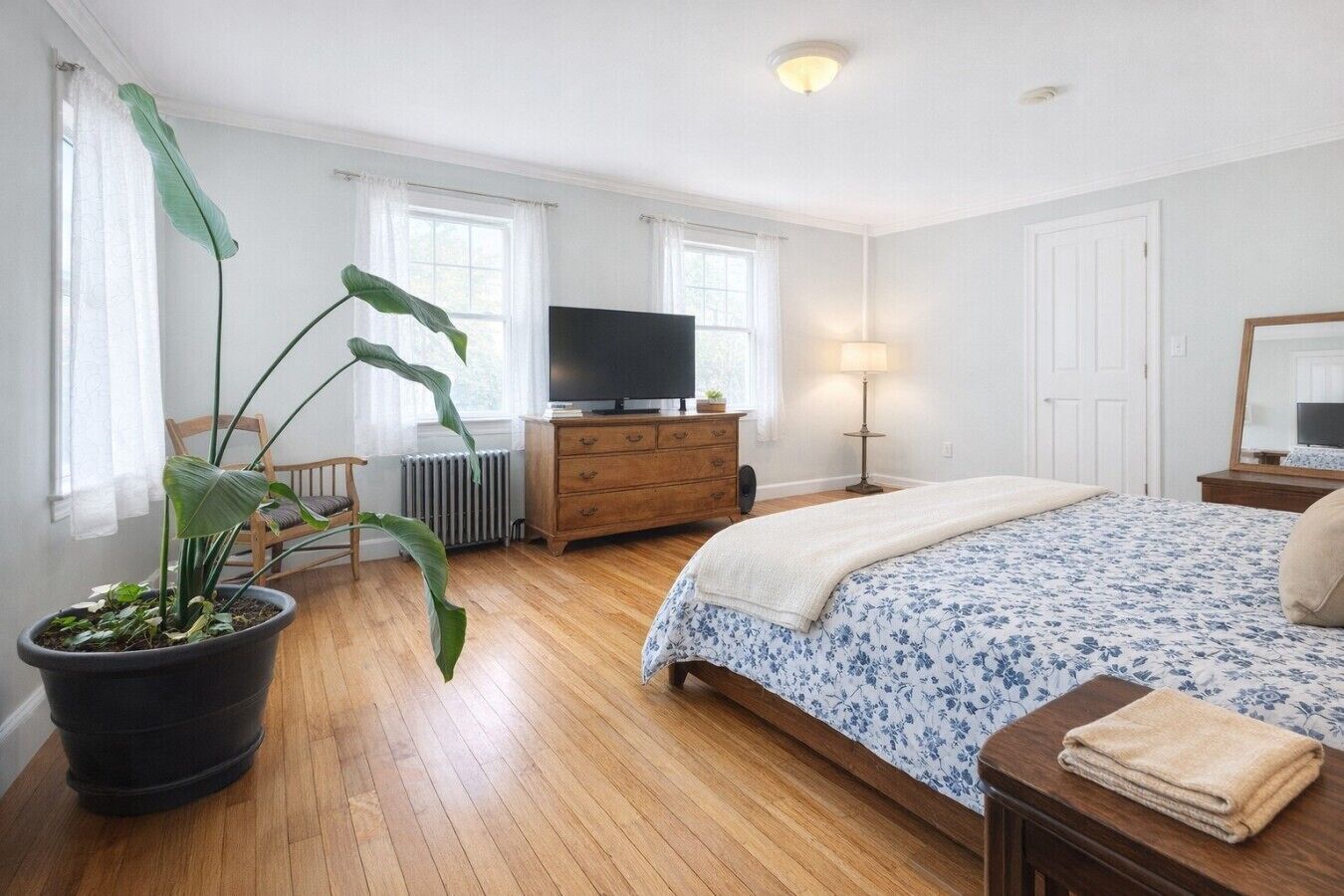 A bedroom with a bed, a dresser, a television, a lamp, and a large plant.