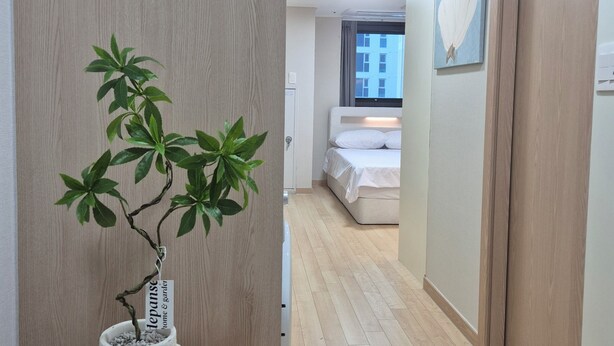 Ein Flur mit einem Blumentopf, Holzboden, einem Bett und einem Bild an der Wand.