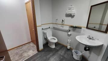 Hair dryer, towels, toilet paper