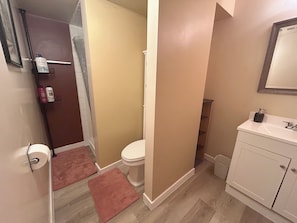 Hair dryer, bidet, towels, soap