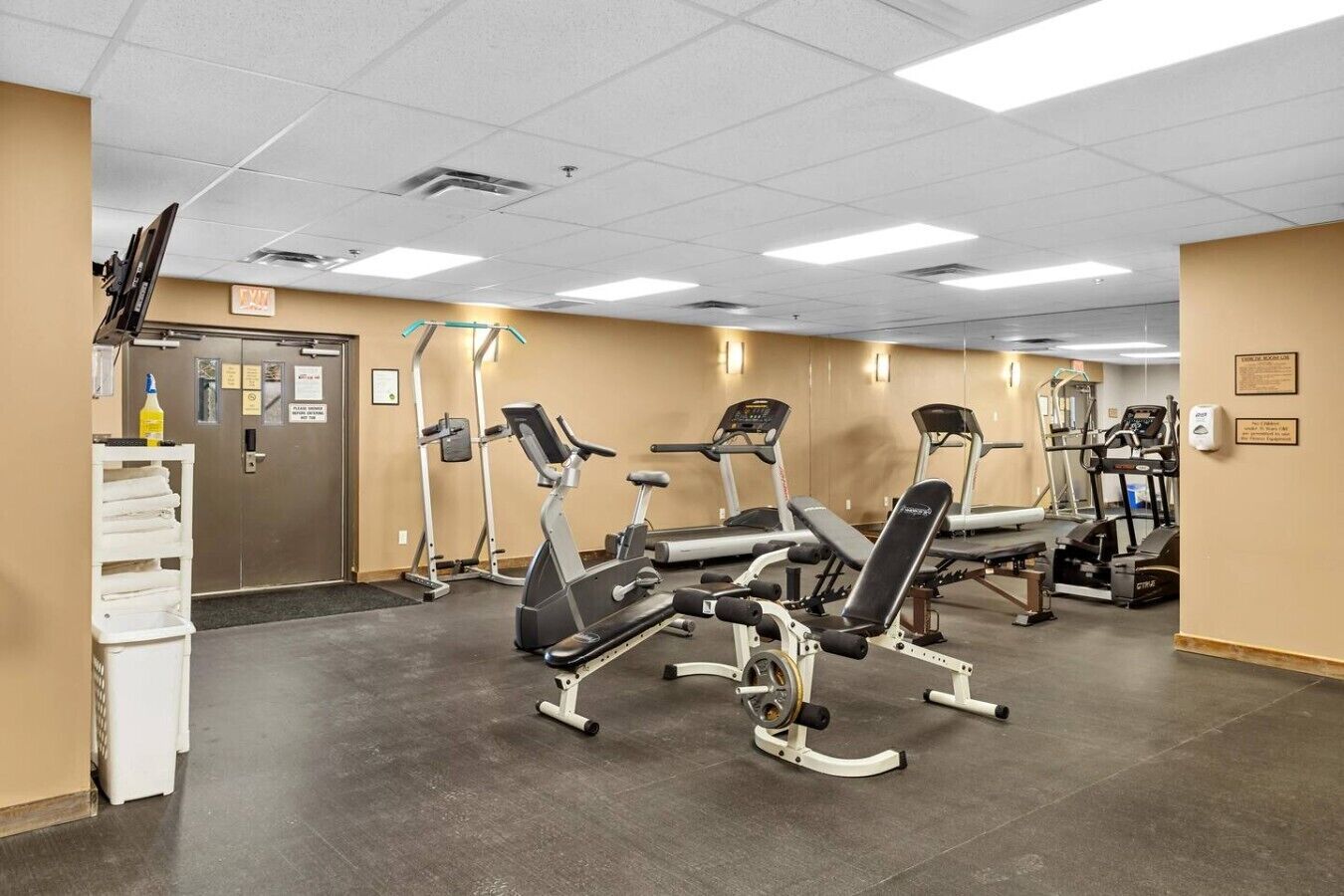 Un gimnasio con máquinas de cardio, bancos de pesas y un rack de pared.
