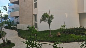 Un edifici modern amb un camí corbat, una palmera petita i diverses plantes.
