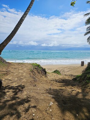 A beach with a clear sky, ocean waves, and a palm tree. - 2BR 2BA Family Friendly Beachfront Oasis in Brand New Development! (Cabarete)