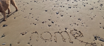 Sea Palling 2 bed /2 bath beach apartment Sleeps 4