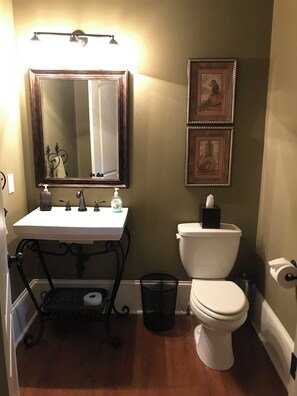 Shower, hair dryer, towels, soap - Beautiful well kept home, walking distance to quaint downtown and harbor. (Charlevoix)