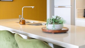 Un plan de travail de cuisine avec un évier, une petite plante et une bouteille.