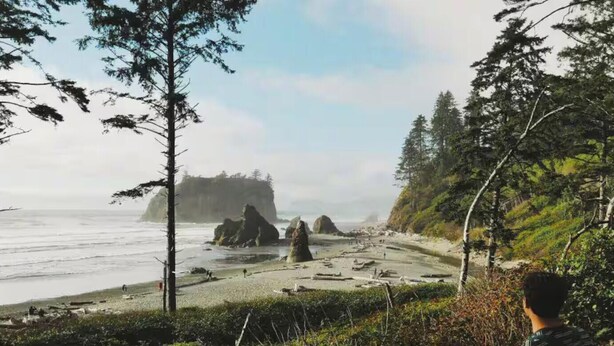 A beach with trees, a rocky outcrop, and the ocean.