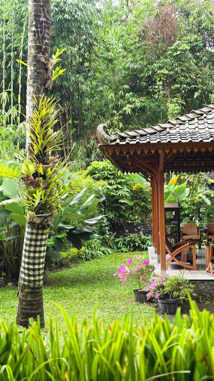 En have med en pavillon, en ternet træstamme og krukkeplanter.