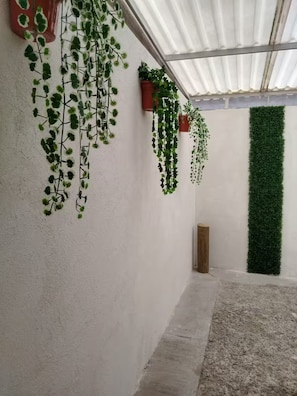A corridor with hanging plants, a green wall, and a wooden door. - Wonderful home for your rest and/or work (Santiago de Querétaro)