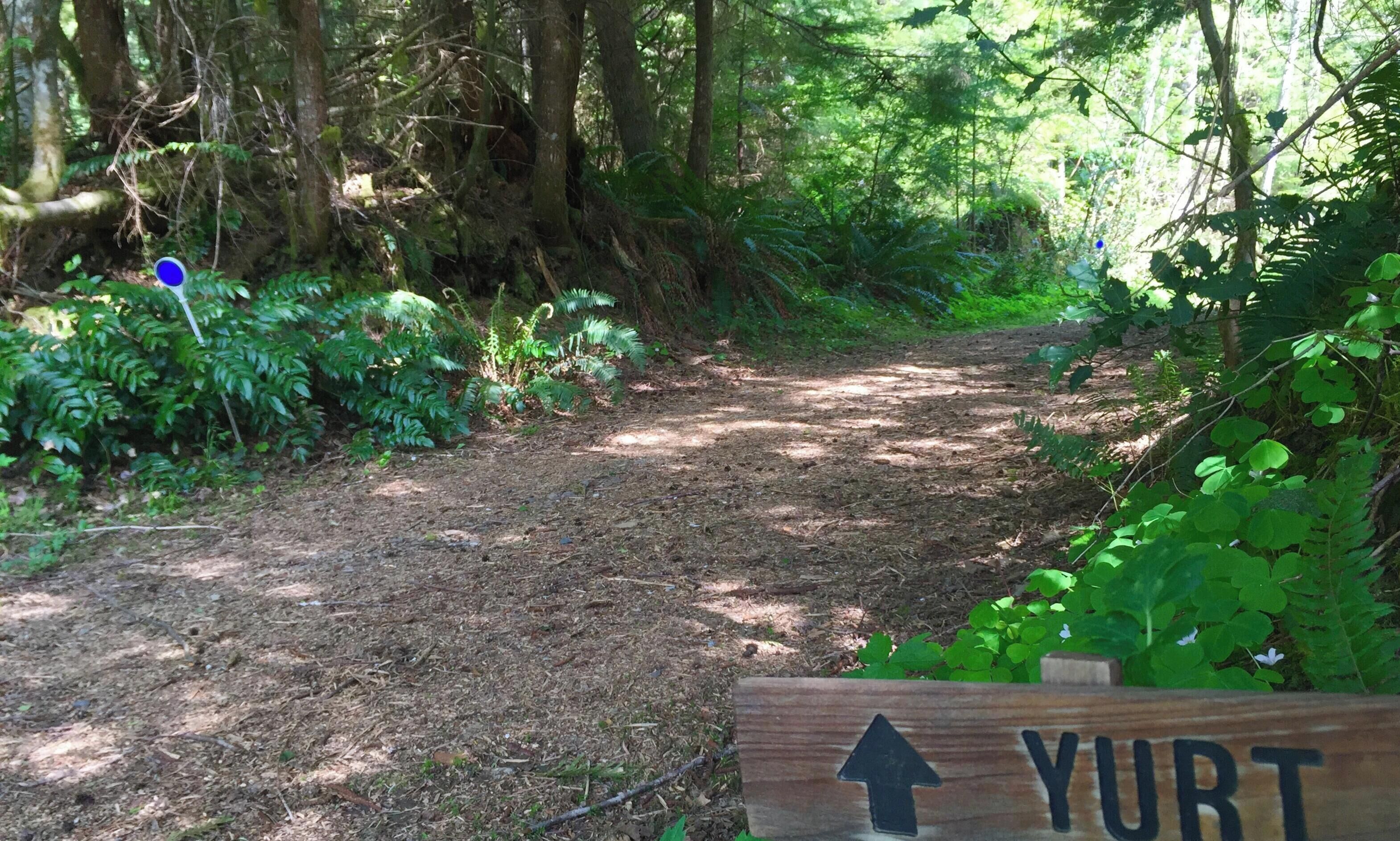 Un sendero en un bosque con un cartel de madera que indica el camino hacia Yurt.