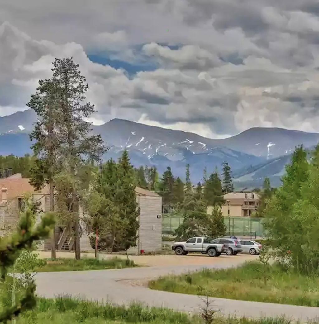 A residential area with houses, a driveway, and a mountain range in the background.