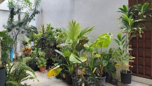 Un patio con varias macetas y una puerta.